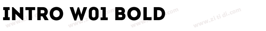 Intro W01 Bold字体转换